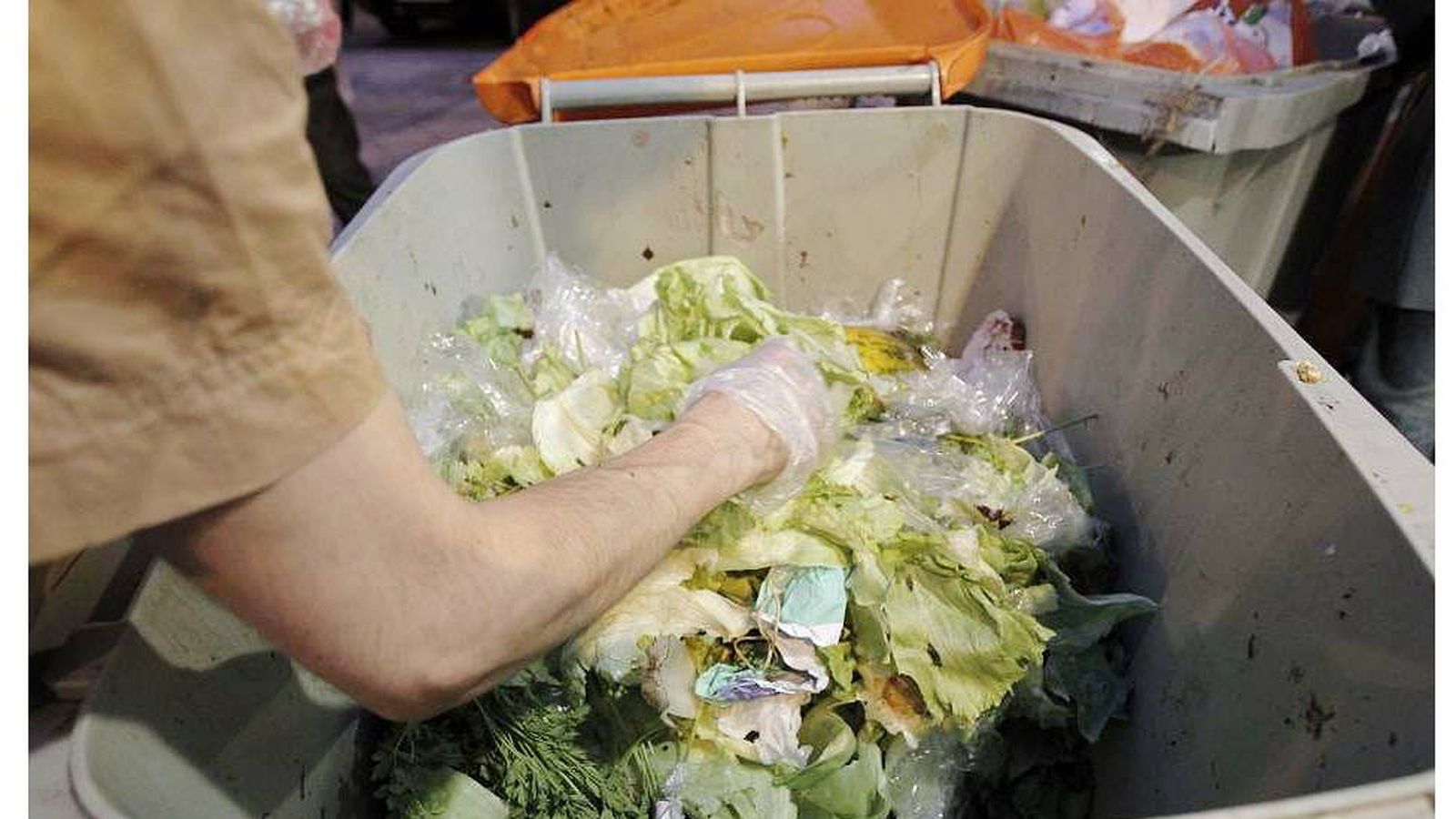 Foto: Una persona recoge alimentos de la basura. (EFE)