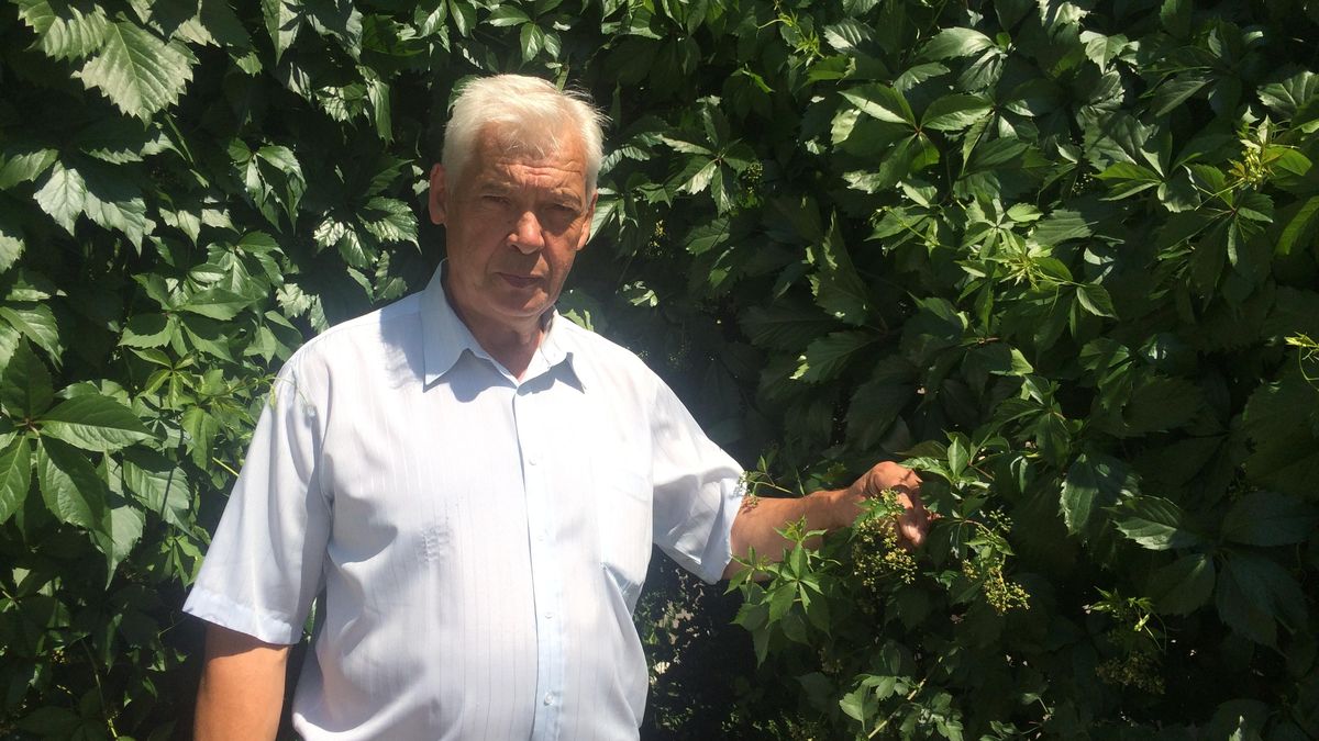 Este hombre cultiva en su 'dacha' las verduras que Moscú prohíbe importar de España