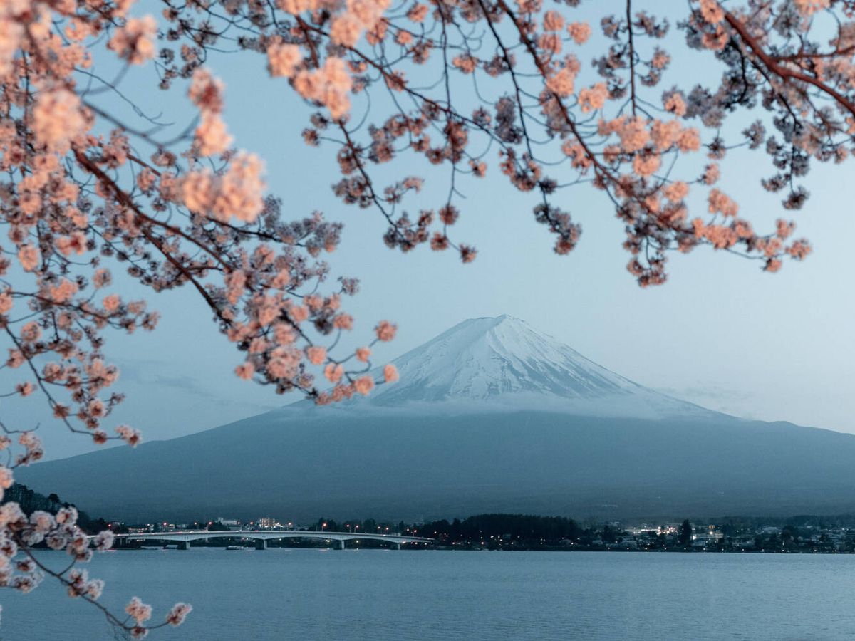 Foto: Estos hábitos que provienen de Japón pueden ayudarnos a transformar nuestra calidad de vida. (Freepik)