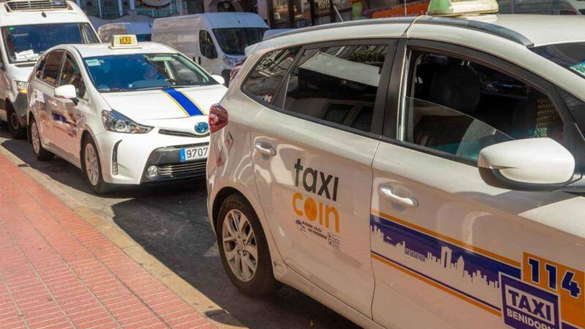 Benidorm estrena una nueva aplicación de taxis: descubre cómo funciona 'TaxiCoin'