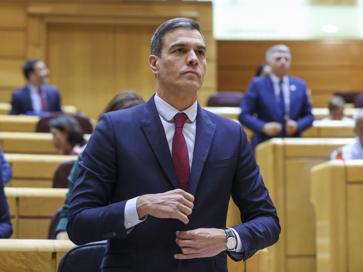 Foto: El presidente del Gobierno, Pedro Sánchez, durante la sesión de control en el Senado. (EFE/Kiko Huesca)