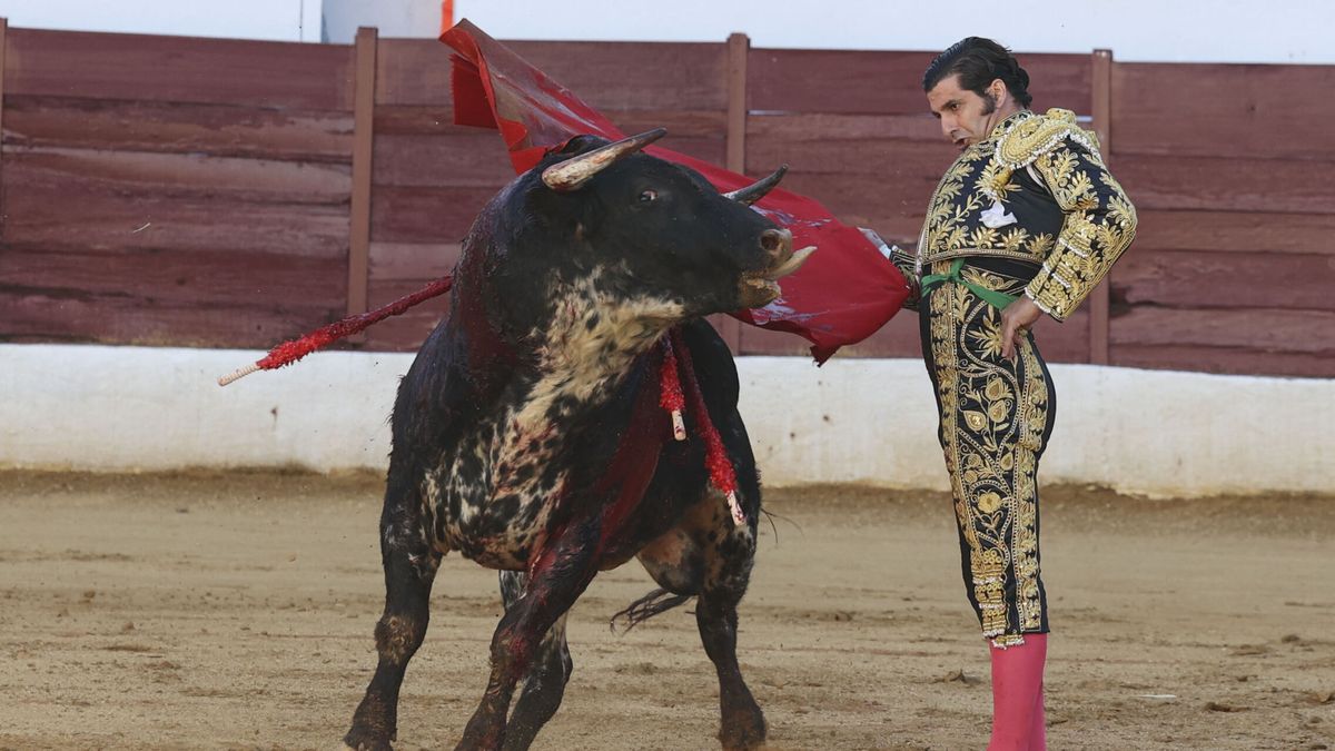 ¿Cuánto vale una entrada para ver a Morante en la plaza de Las Ventas?