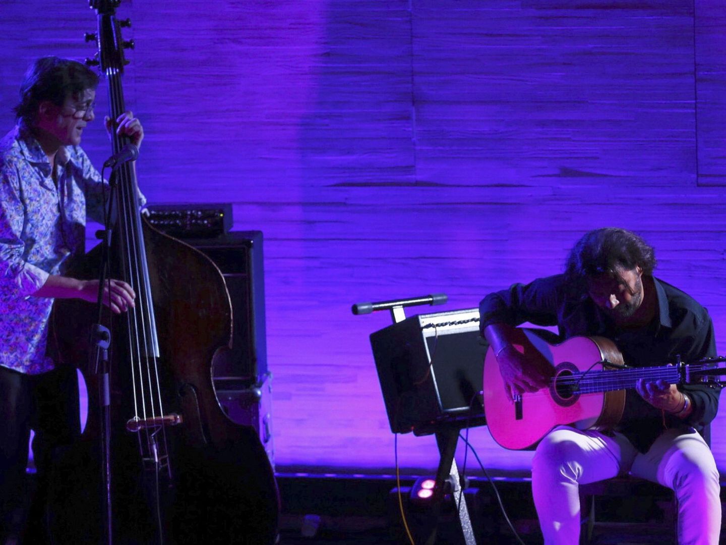 Javier Colina y Josemi Carmona en concierto. (EFE)