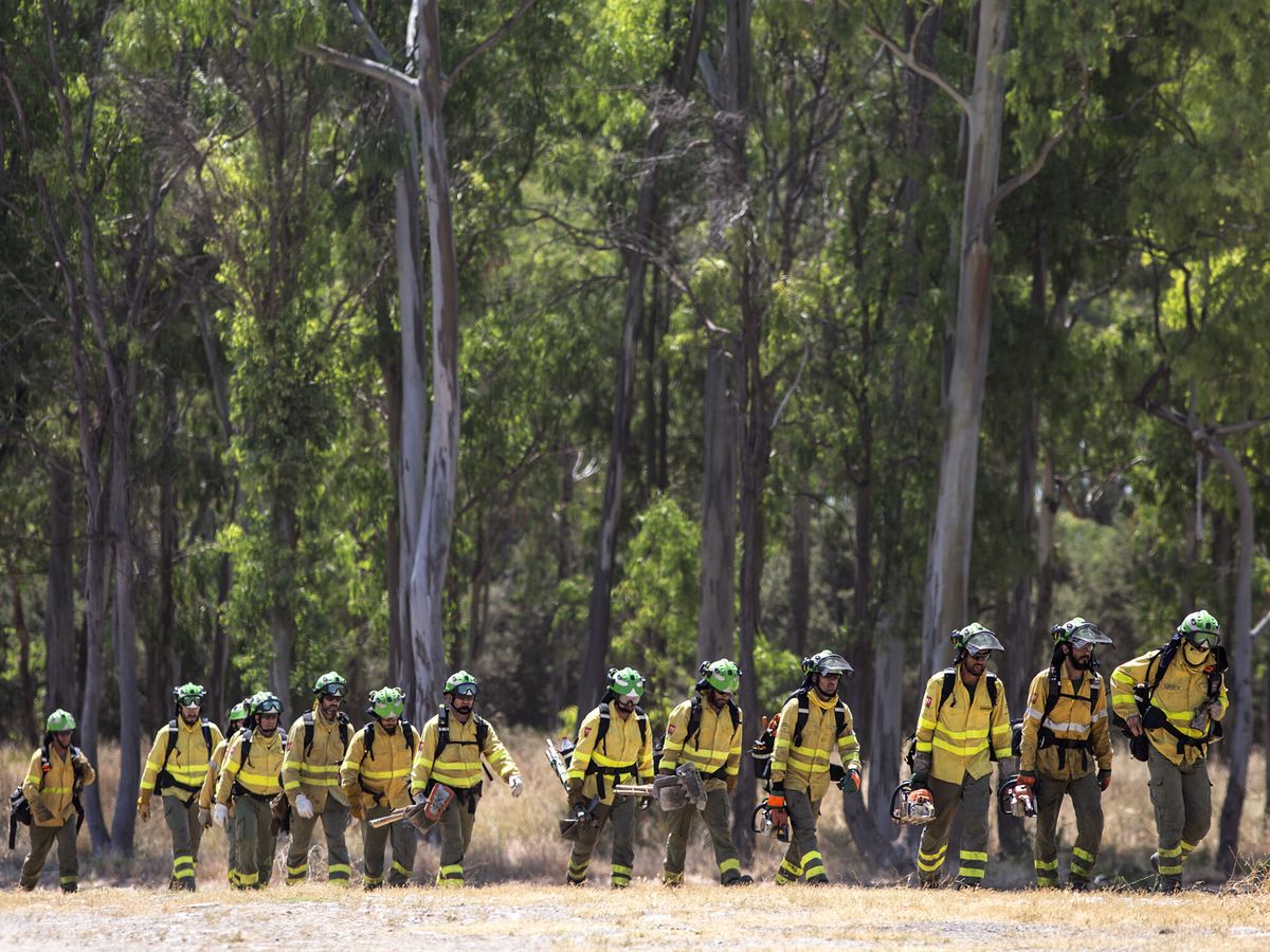 Foto: Casi 1.000 efectivos trabajaron en el incendio del municipio malagueño de Pujerra. (EFE/Daniel Pérez)