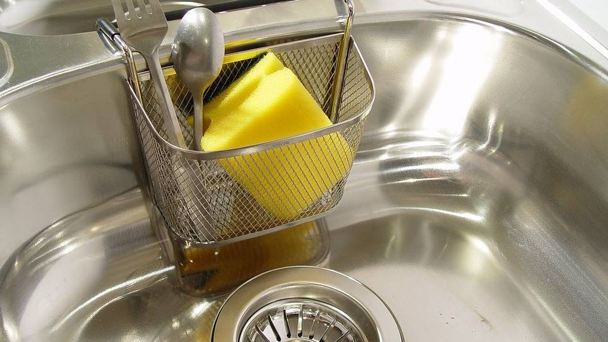 El truco del microondas para limpiar los estropajos y acabar con las bacterias que se acumulan