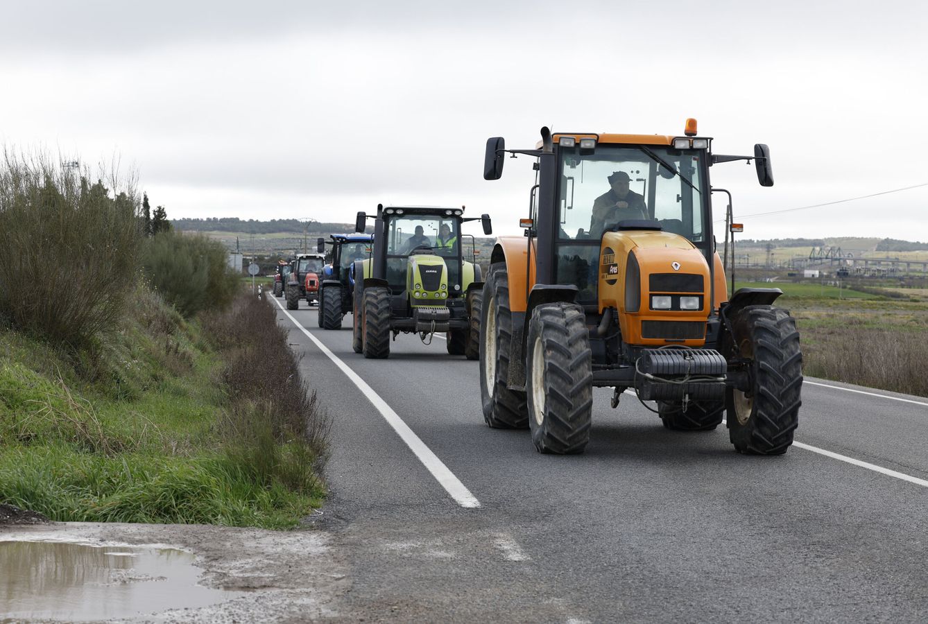 Agricultores y ganaderos durante una marcha desde el municipio de Titulcia hacia Torrejón de Velasco. (EFE/Javier Lizón)