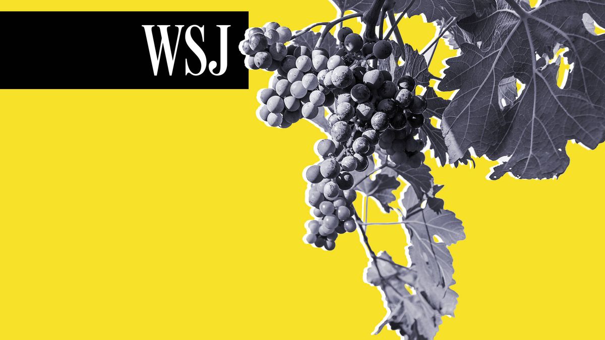 Hacer un Burdeos no es lo que era: el cambio climático revoluciona los viñedos franceses