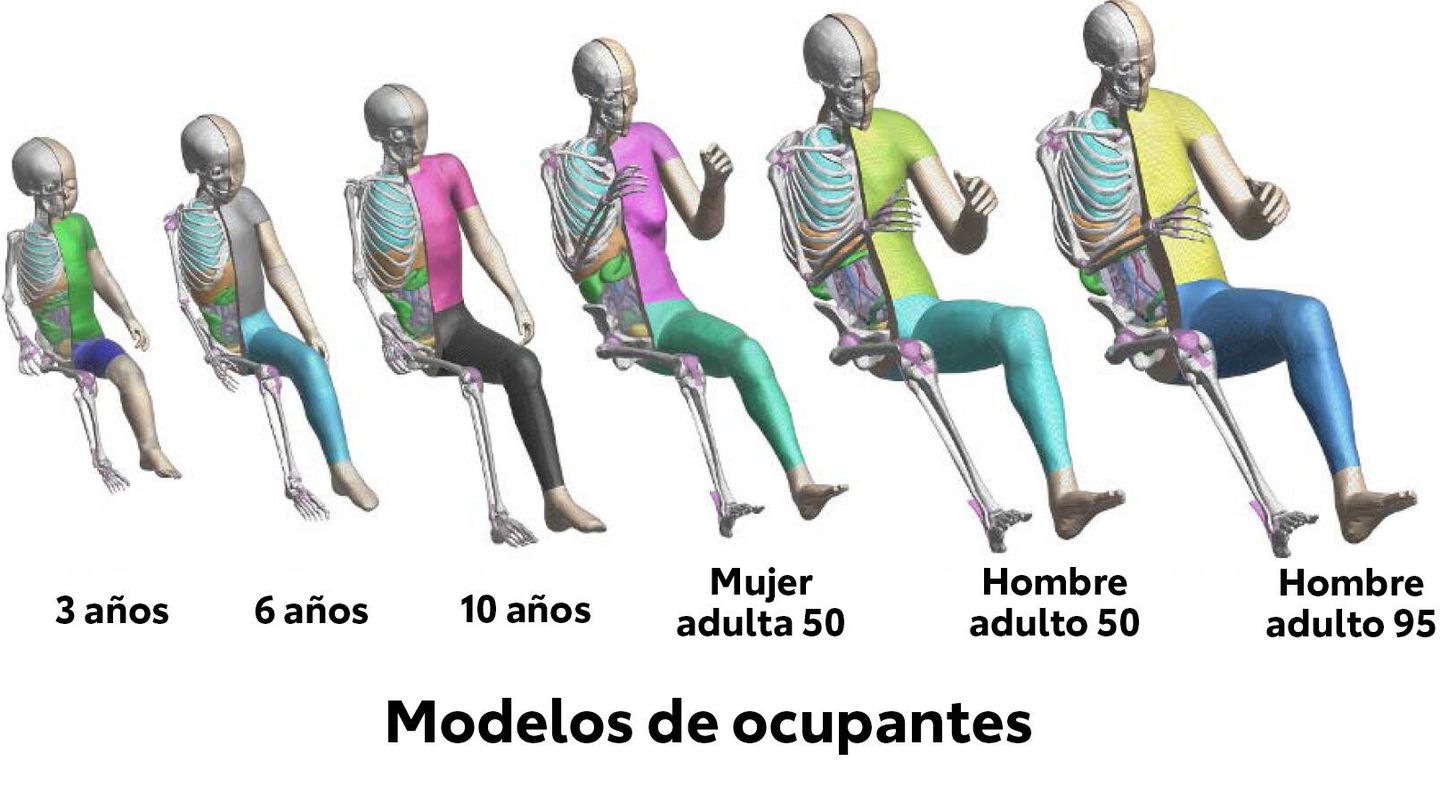 THUMS cuenta con 'dummies' virtuales que representan a niños desde 2016, y adultos de distintas tallas y pesos desde 2011.