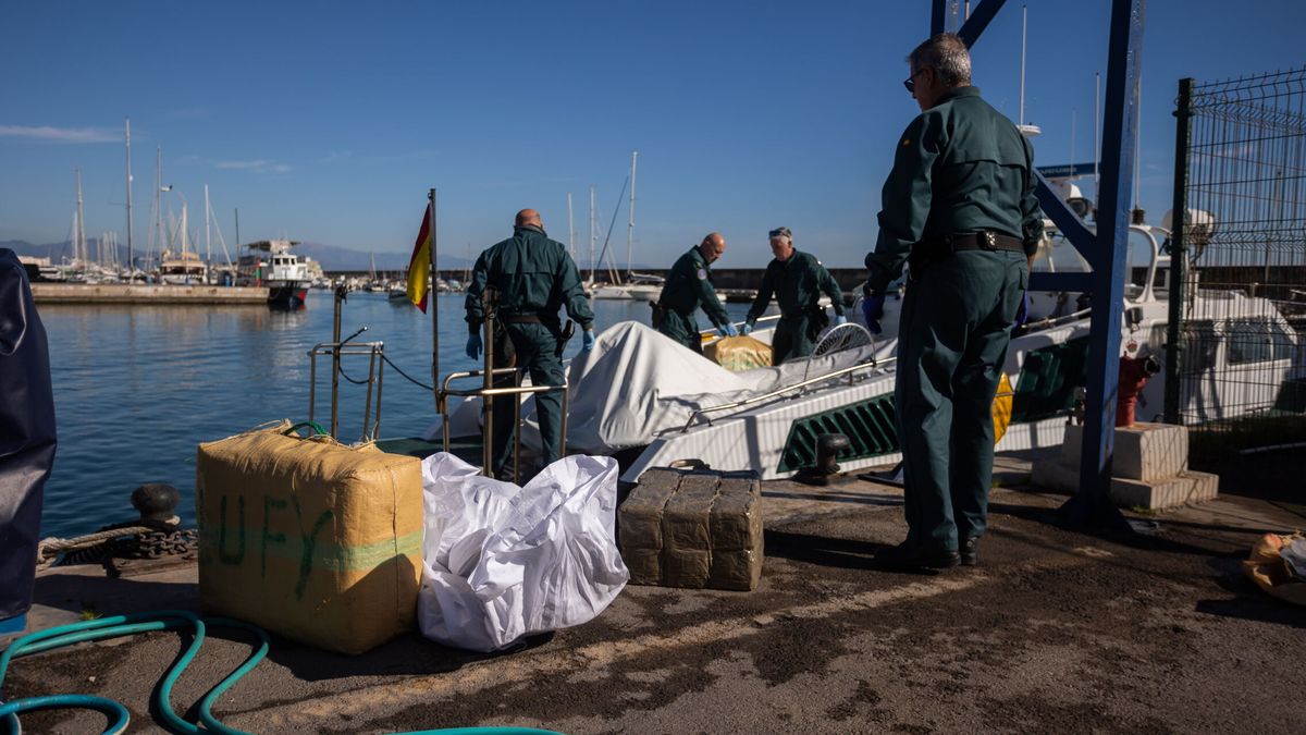 Cae una red que introducía cocaína en maceteros por el puerto de Málaga