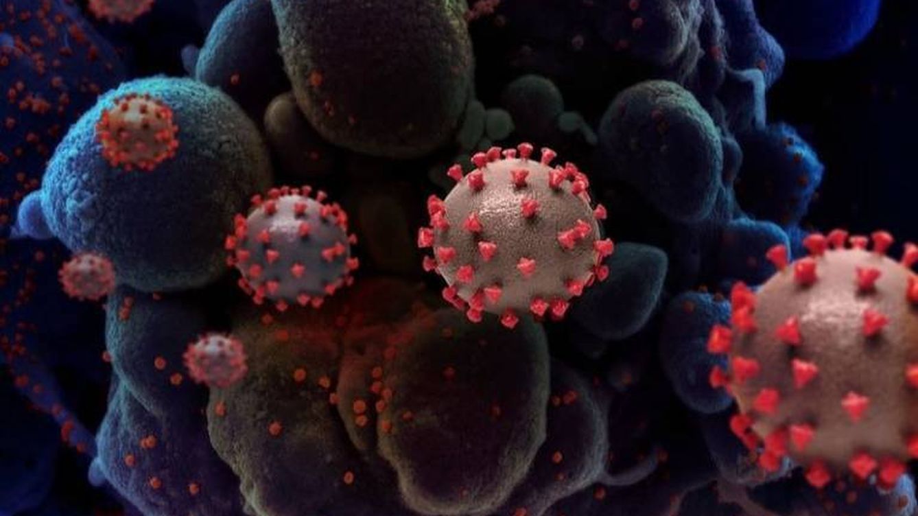 Ninguna de las mutaciones del coronavirus lo hace más contagioso, según un estudio a gran escala