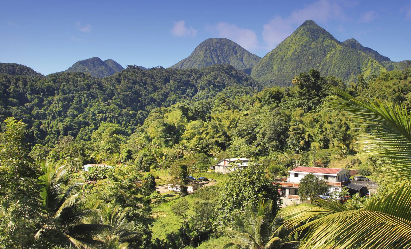 En República Dominicana, además de azules playas también hay verdes bosques