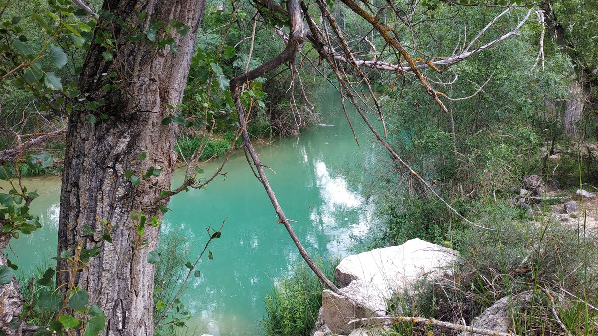 De Charco Azul a la Playeta de Pedralba: 7 rincones cerca del río Turia para disfrutar en verano
