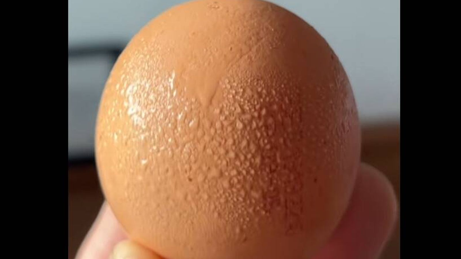 Un cocinero profesional sentencia: “Guardar los huevos parece fácil, pero si empiezan a sudar pueden ser peligrosos”