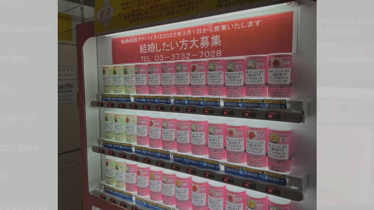 Presentan en Japón una máquina expendedora de parejas a cambio de unos pocos yenes