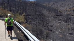 Extinguido el incendio de Ávila dos meses y medio después tras arrasar 37.818 hectáreas