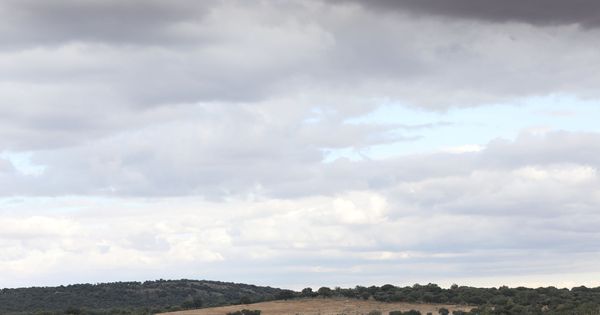 Foto: La localidad en Retortillo (Salamanca) donde Berkeley Energía quiere imponer su mina de uranio. (Reuters)