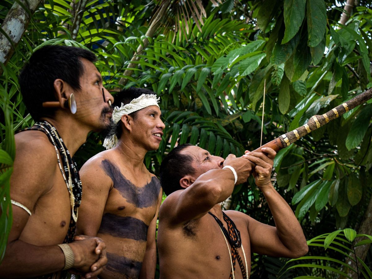 Foto: Varios indígenas matis de Brasil durante una jornada de caza en Atalaya do Norte (Brasil)