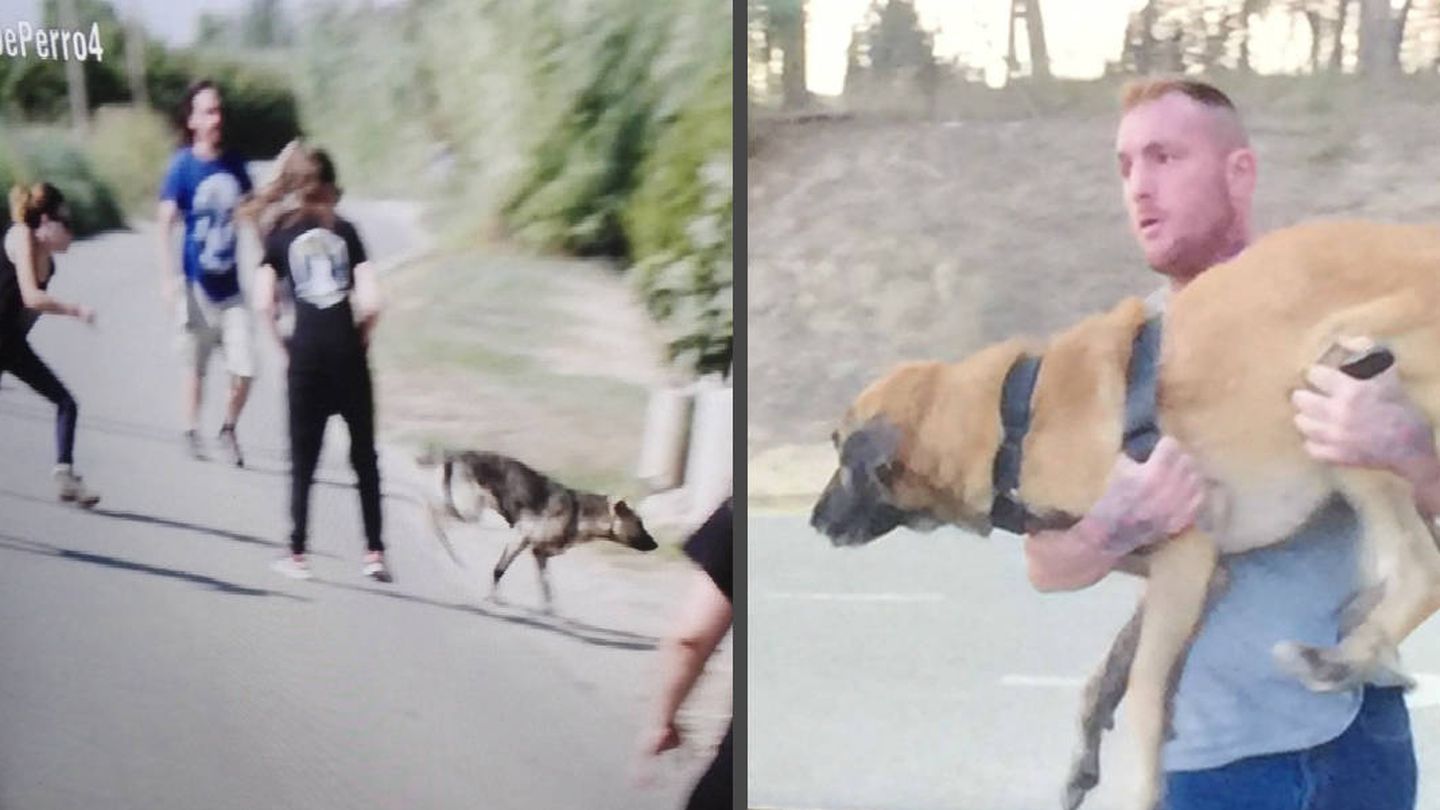 Imágenes que mostró 'A cara de perro', cuando el perro se escapa y cuando 'lo rescata' Javier Roche.