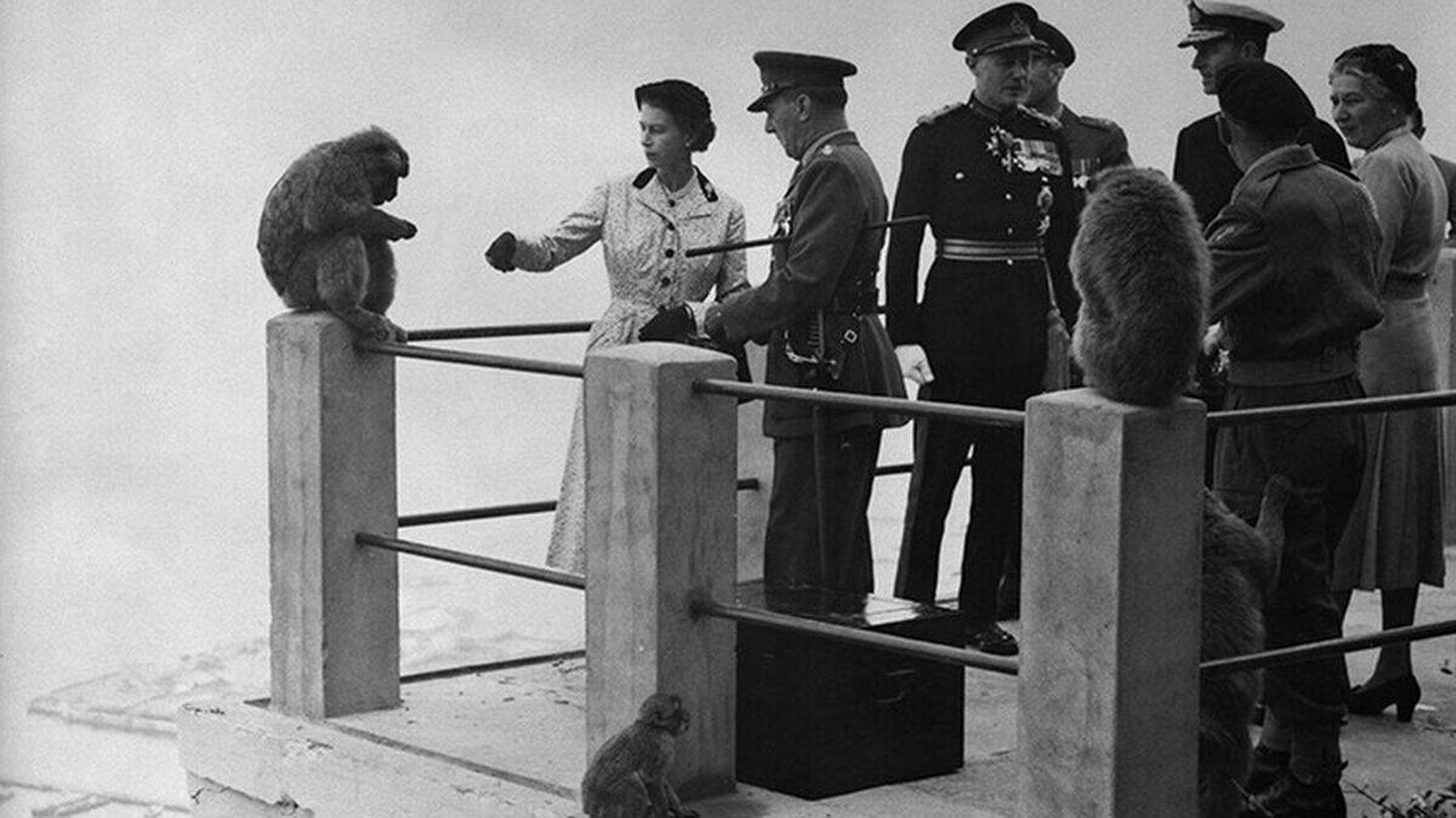 Isabel II en Gribraltar, en 1954, da de comer a uno de los monos del Peñón. (Cedida)