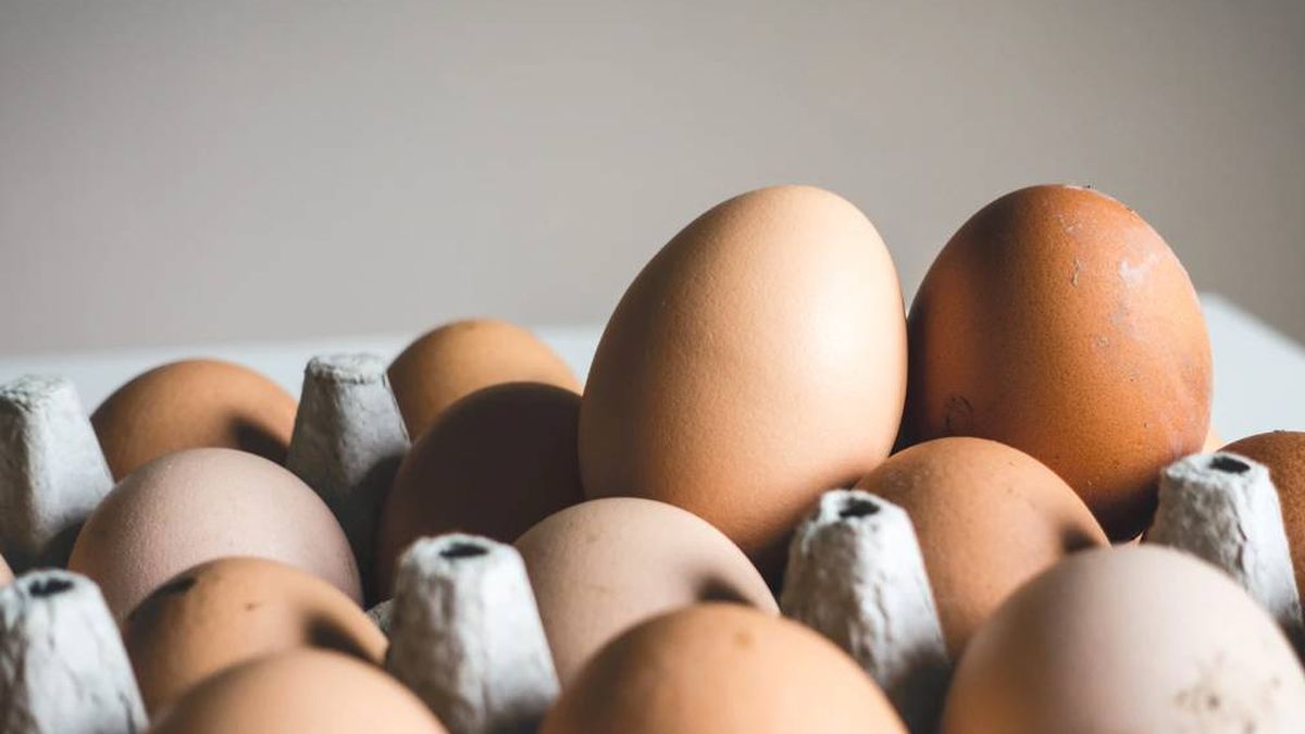Huevos revueltos: así se hacen según los profesores de las escuelas de hostelería