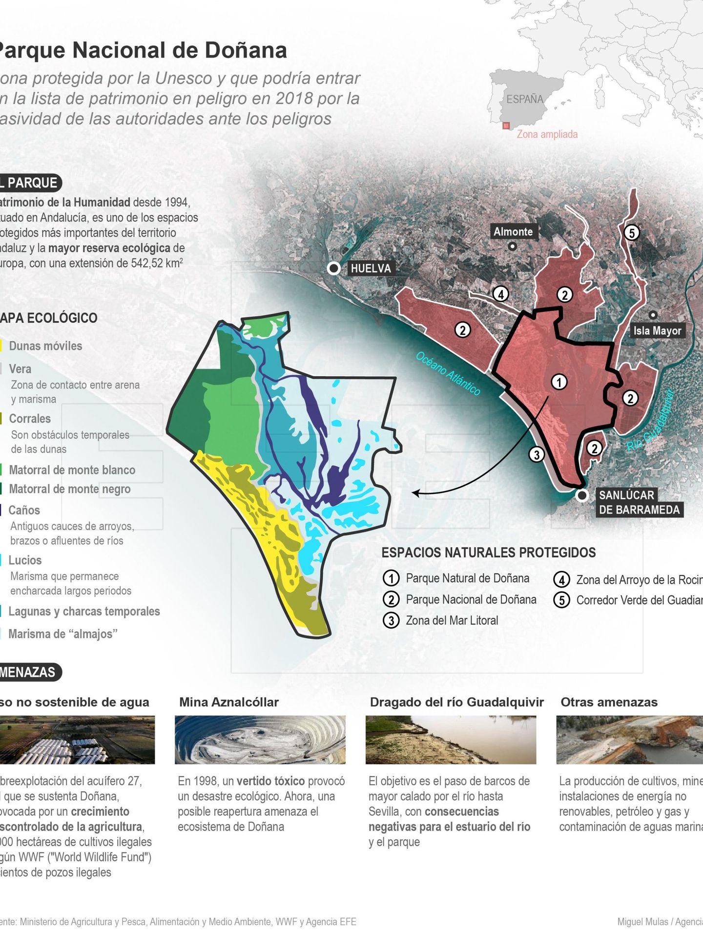 Detalle de la infografía de la Agencia EFE 'Parque Nacional de Doñana' 