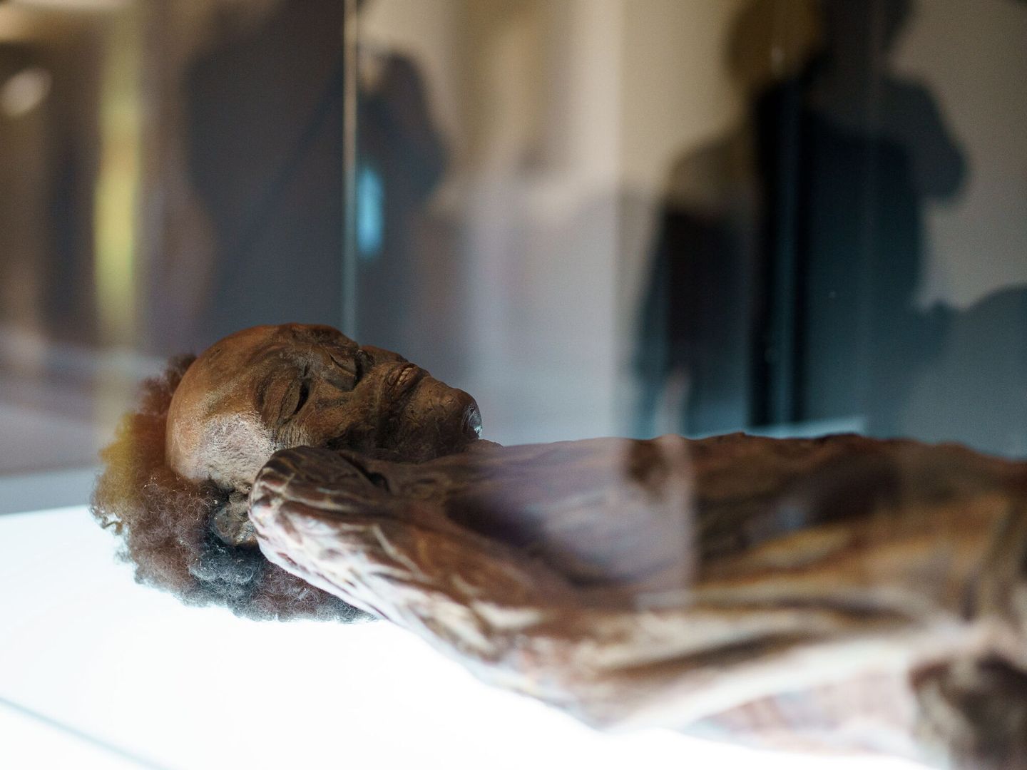 Réplica de la momia guanche que se conserva en el Museo Arqueológico Nacional de Madrid. (EFE/Ramón Rocha)