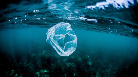 Bacterias devoradoras de plástico para luchar contra la contaminación