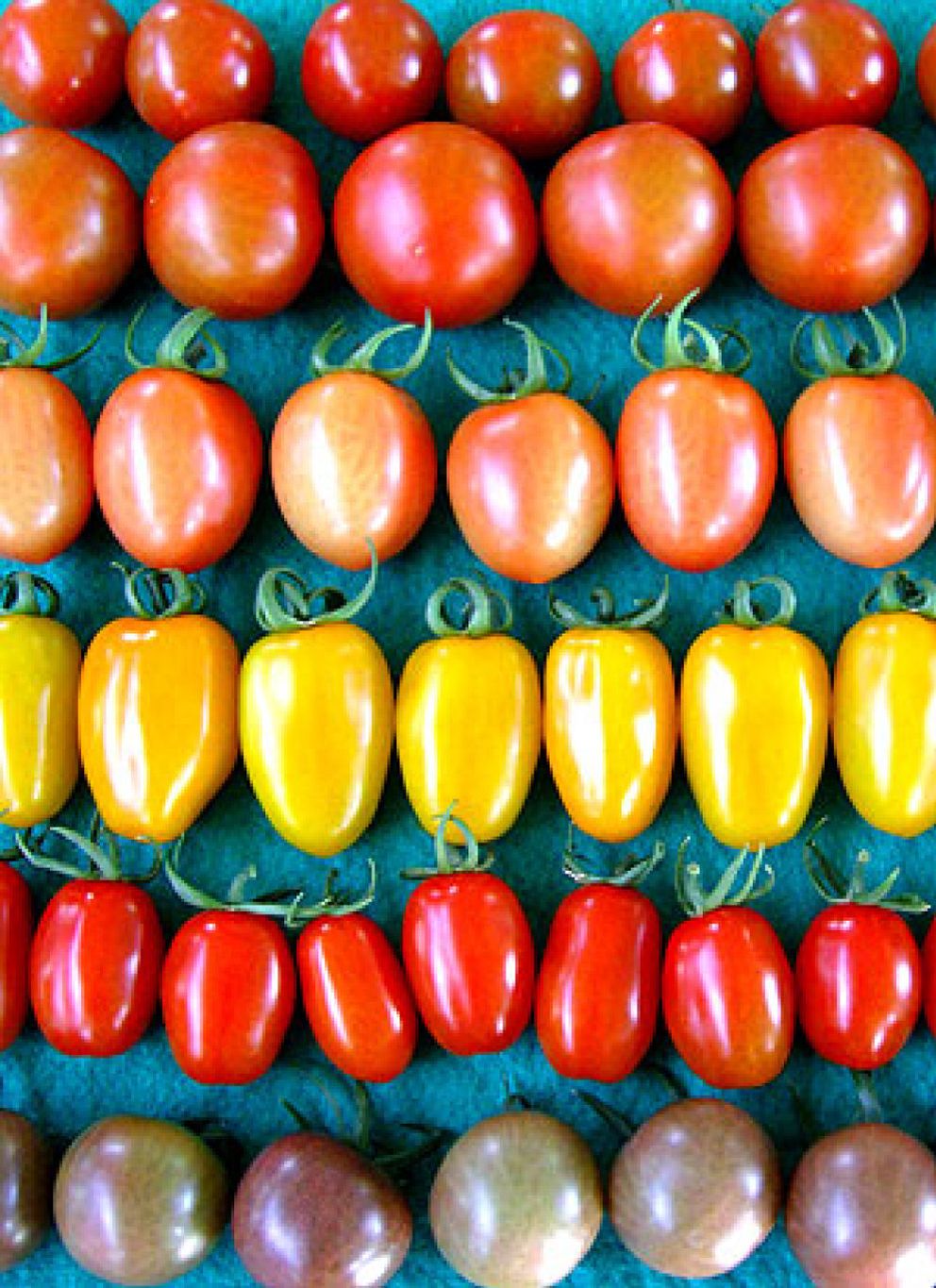 Foto: La crisis es menos crisis con mascarillas de tomate