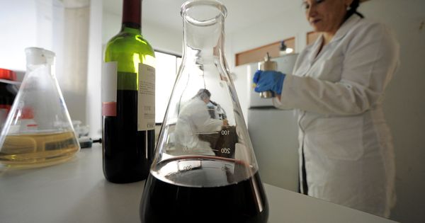 Foto: Una investigadora analiza una muestra de vino tinto. (Reuters)