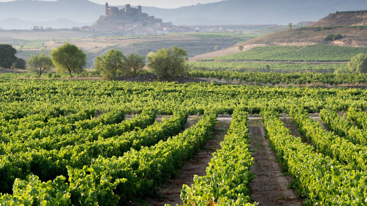 La Rioja: los platos que no puedes perderte en esta comunidad 