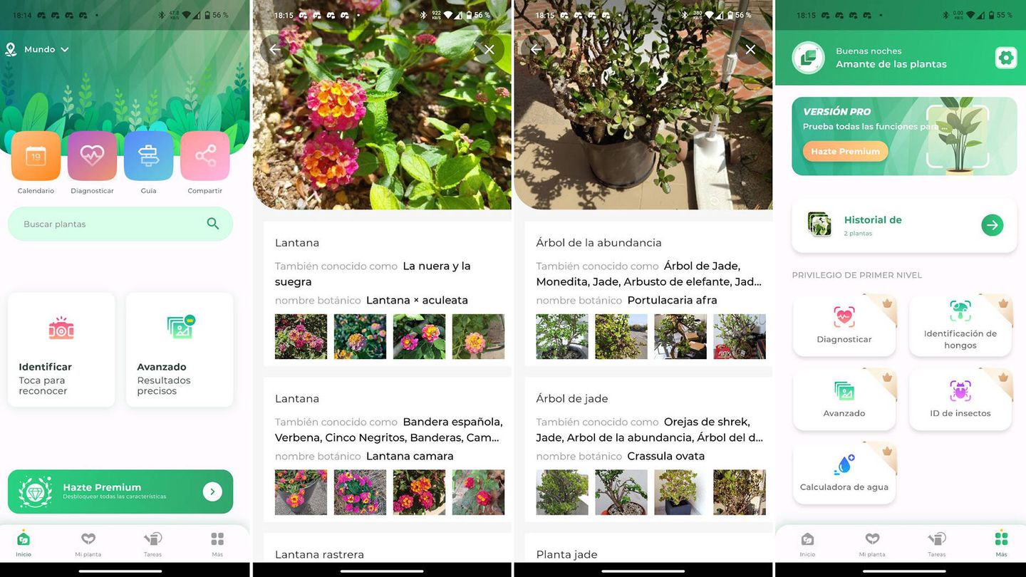 Capturas de pantalla de la app LeafSnap