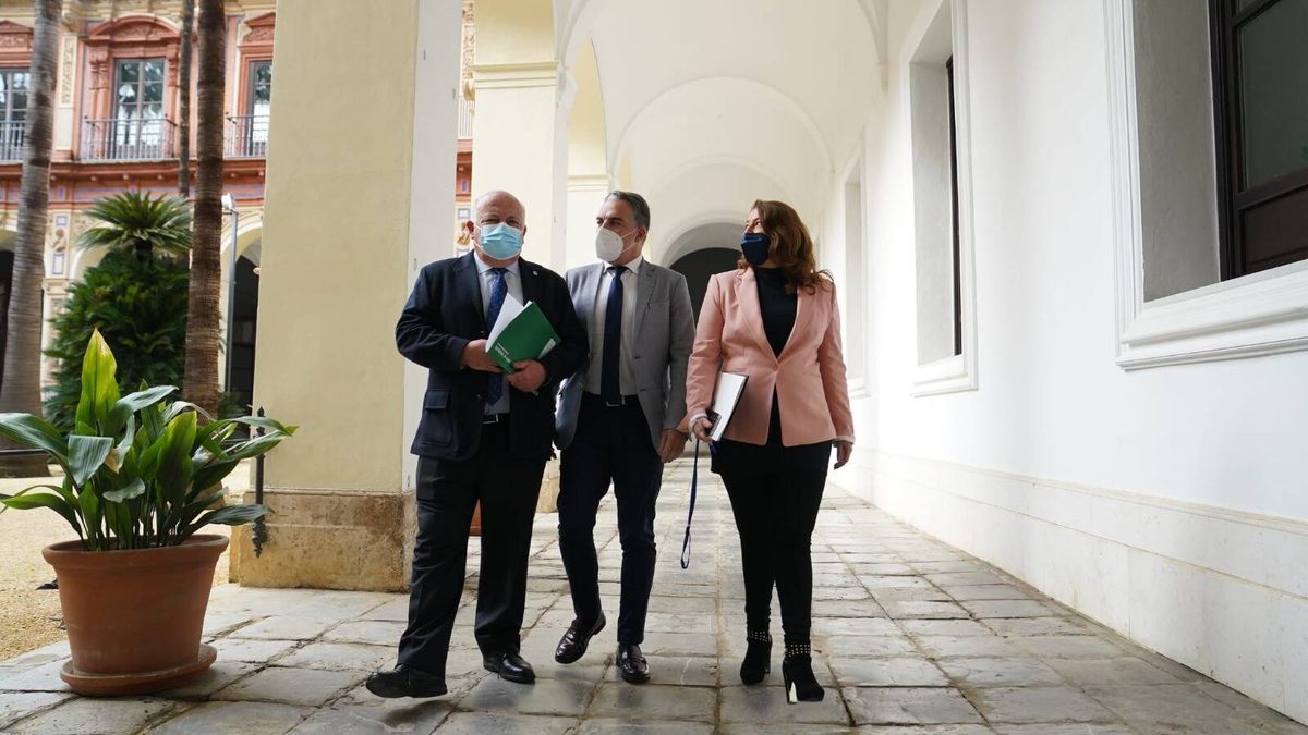 La jueza anula la imputación de la consejera andaluza y confirma que fue citada por error 
