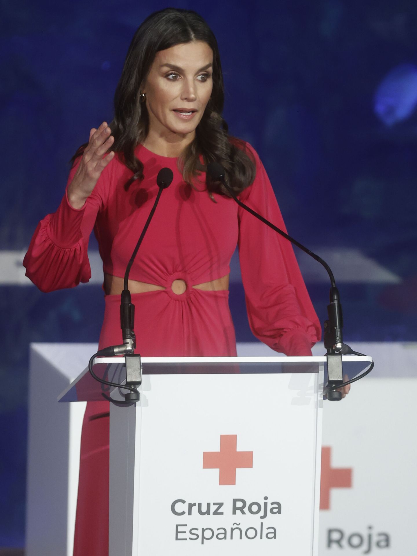La reina Letizia, durante la entrega las condecoraciones de Cruz Roja 2022. (EFE/Kai Försterling)