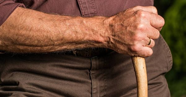 Foto: Un anciano sostiene una vara. (Pîxabay)