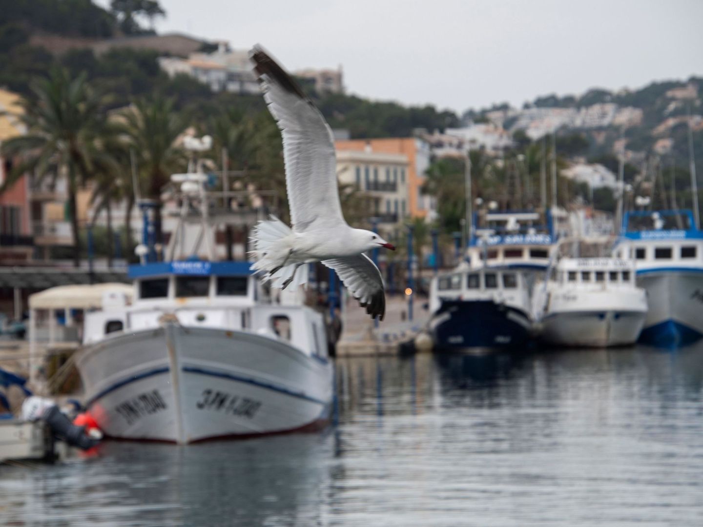 Barcos pesqueros de la flota de las Islas Baleares. (EFE/Cati Cladera)
