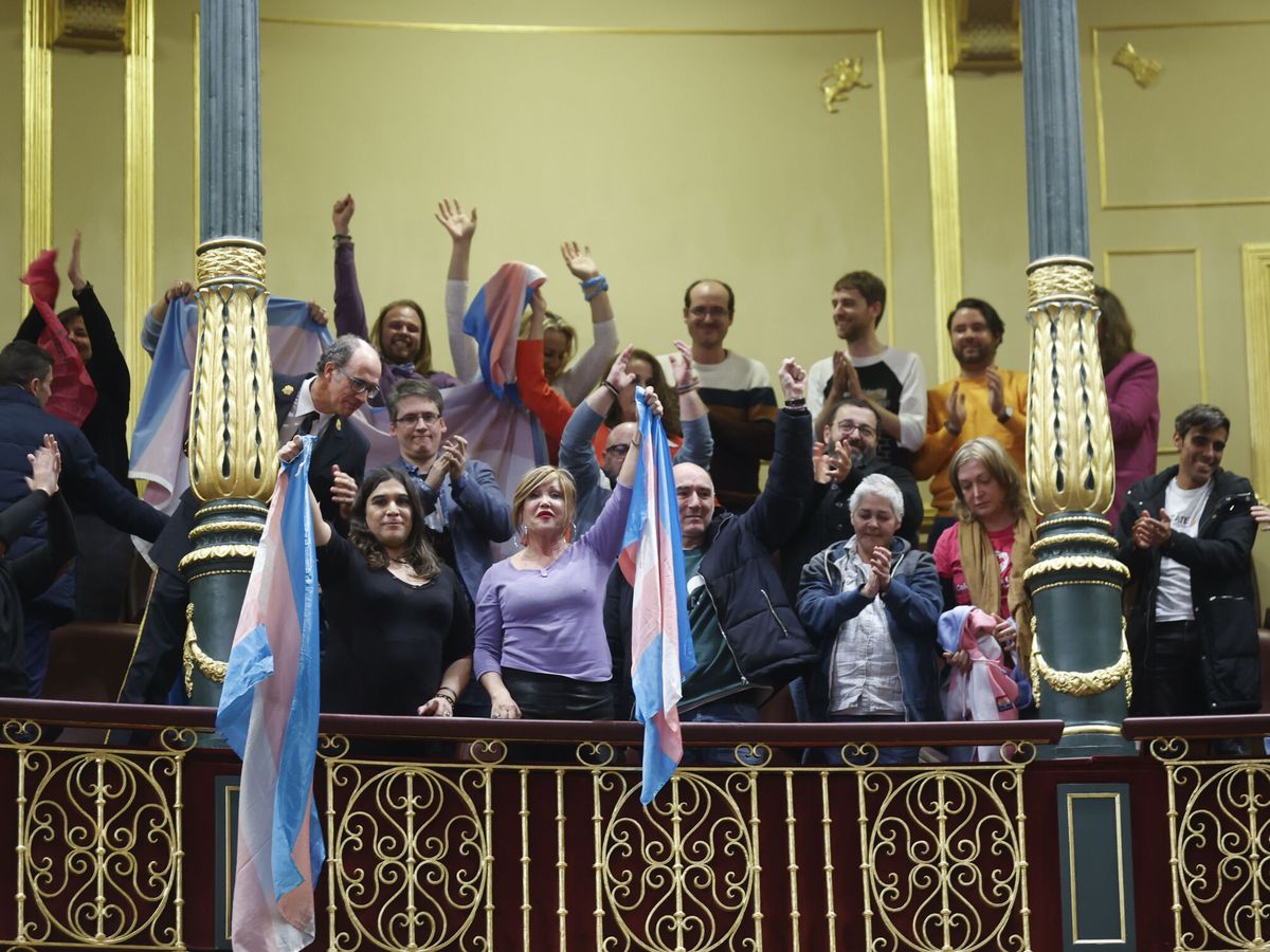 Foto: Miembros del colectivo LGTBI celebran la aprobación de la ley trans. (EFE/Javier Lizón)