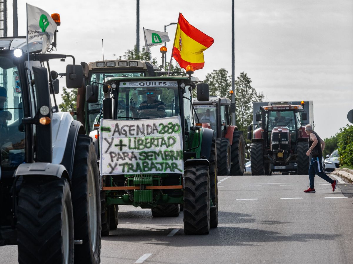Foto: Tractorada por las calles de Madrid. (EFE/Fernando Villar)