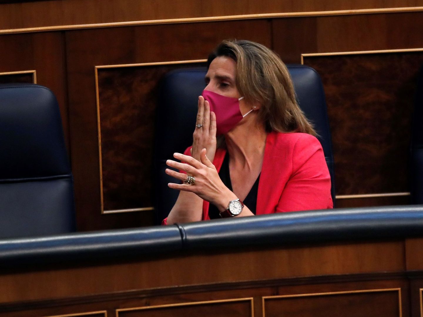 Teresa Ribera celebra la aprobación de la ley esta tarde desde su escaño del Congreso. (EFE)