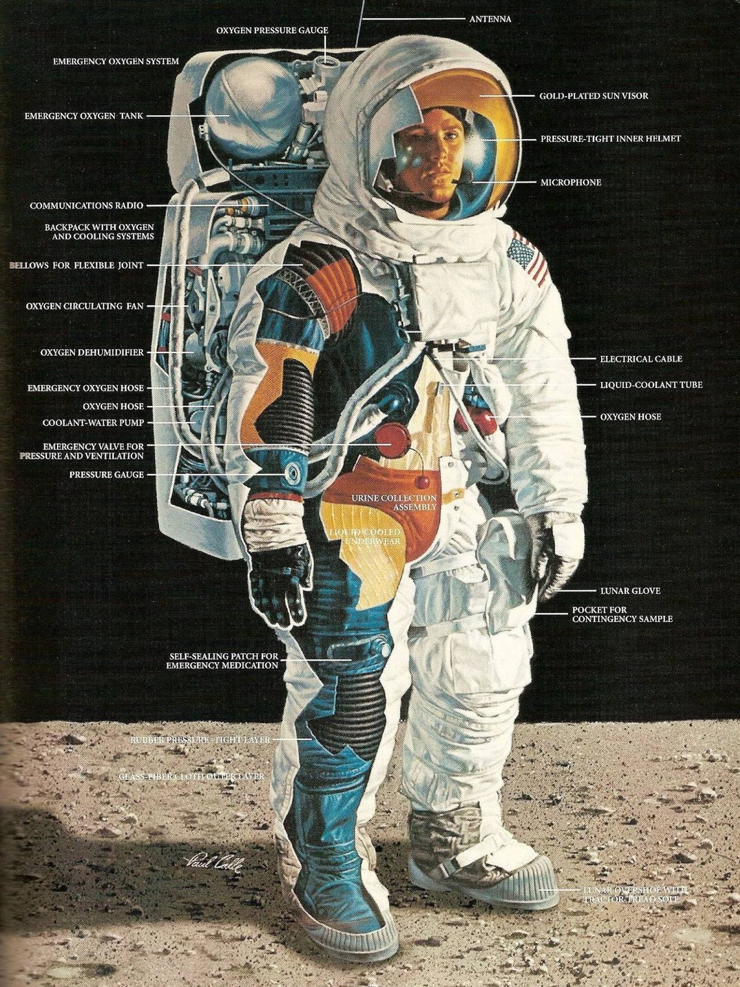 Ilustración que muestra las partes de un traje espacial (Paul Calle)