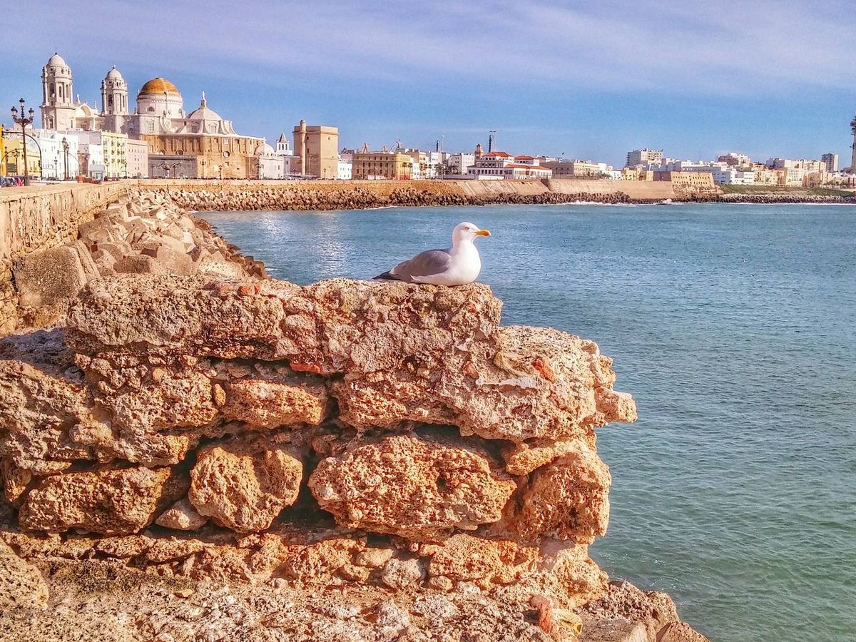 Foto: Puerto de Cádiz. (CC)