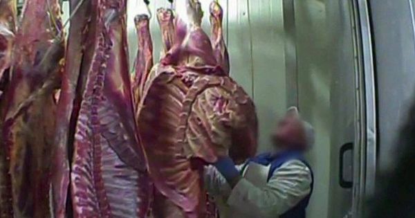 Foto: Carne del matadero polaco.