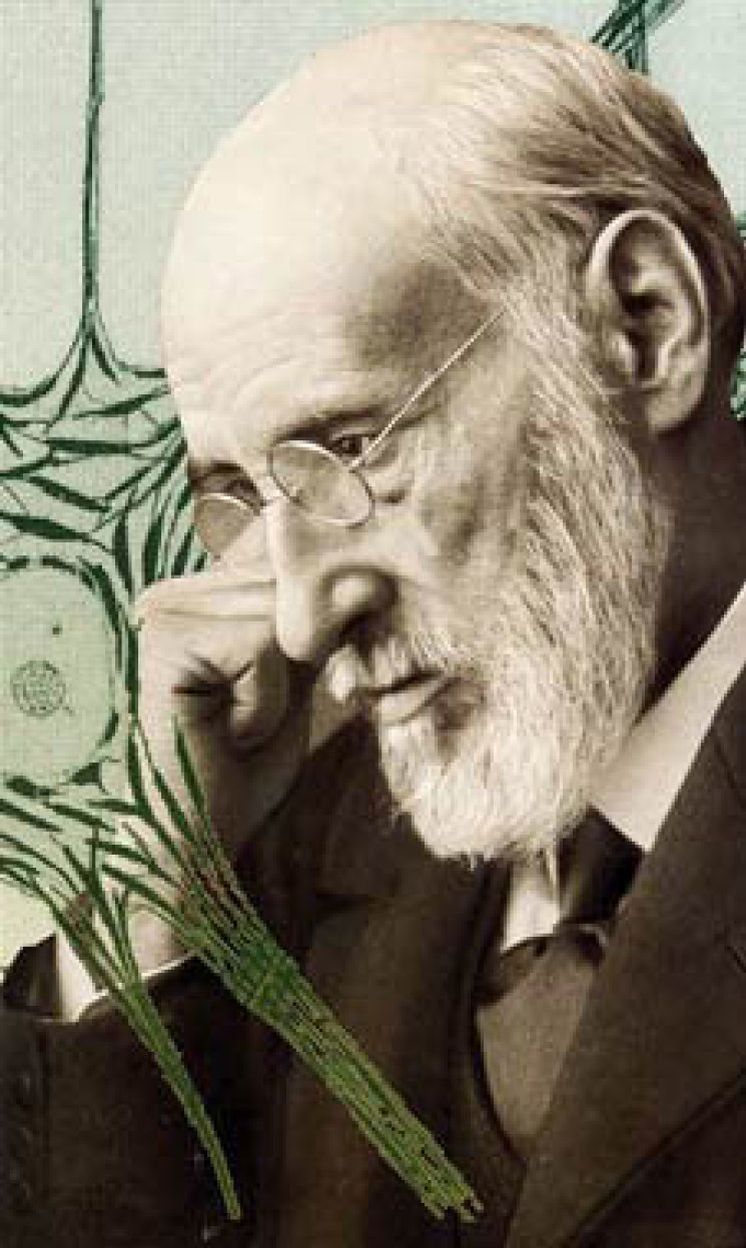 Foto: Una exposición destaca los logros científicos y las facetas menos conocidas de Ramón y Cajal