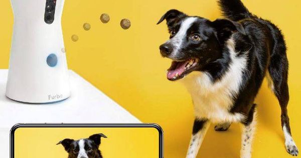 Foto: Furbo: cámara para perros y lanzamiento de golosinas