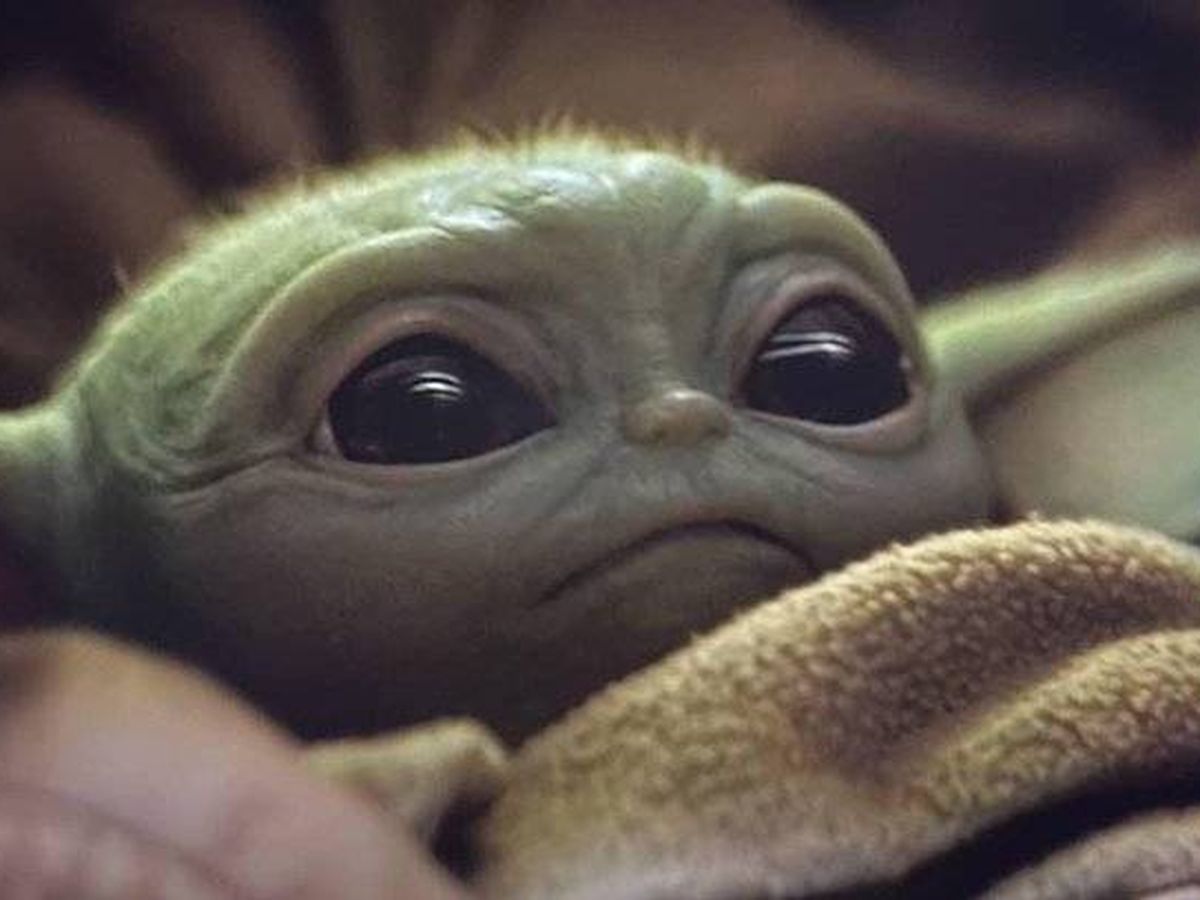 Foto: Así es el 'bebé Yoda' que se ha hecho viral.