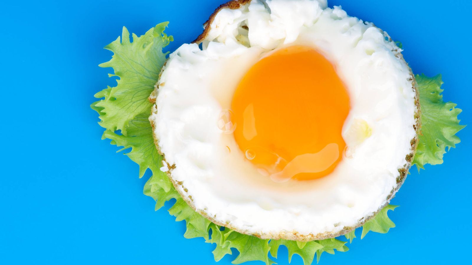 Foto: ¿Un huevo o una diana? (iStock)