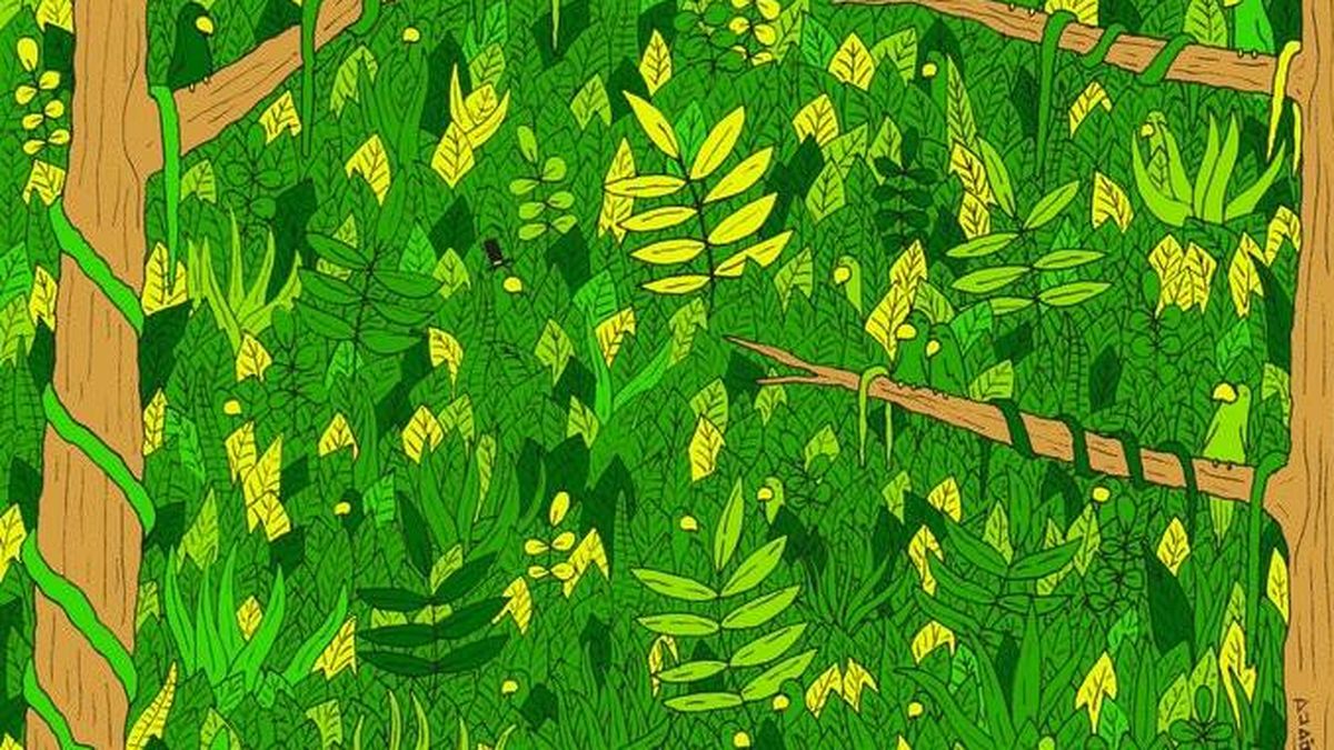 El último acertijo visual: ¿puedes descubrir a la serpiente en la jungla?