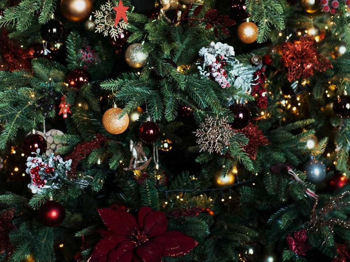 7 árboles de Navidad: así decoran sus casas los famosos para las noches de  paz y amor
