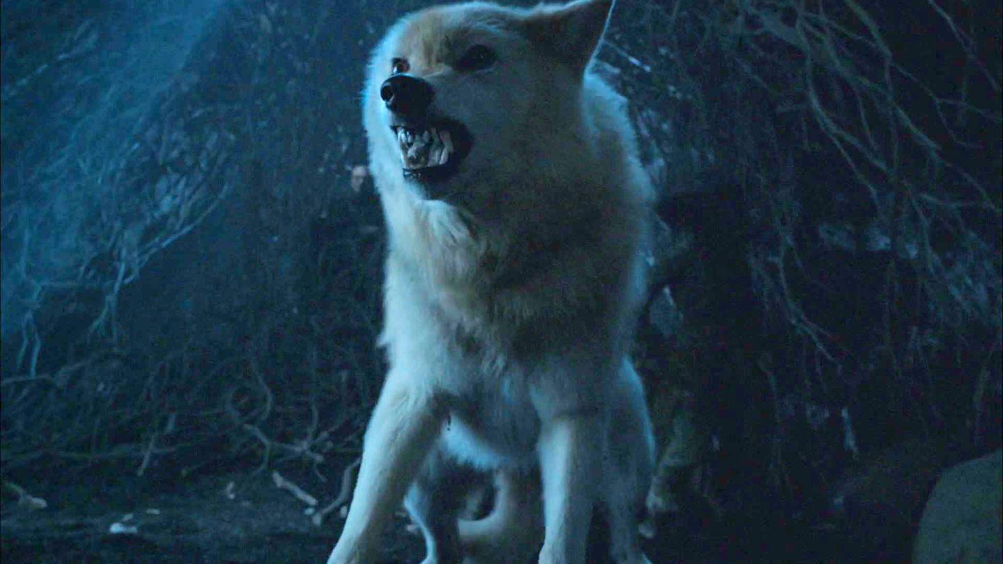 Verano, el lobo de Bran, a punto de lanzarse a los caminantes blancos y perder la vida. (HBO)