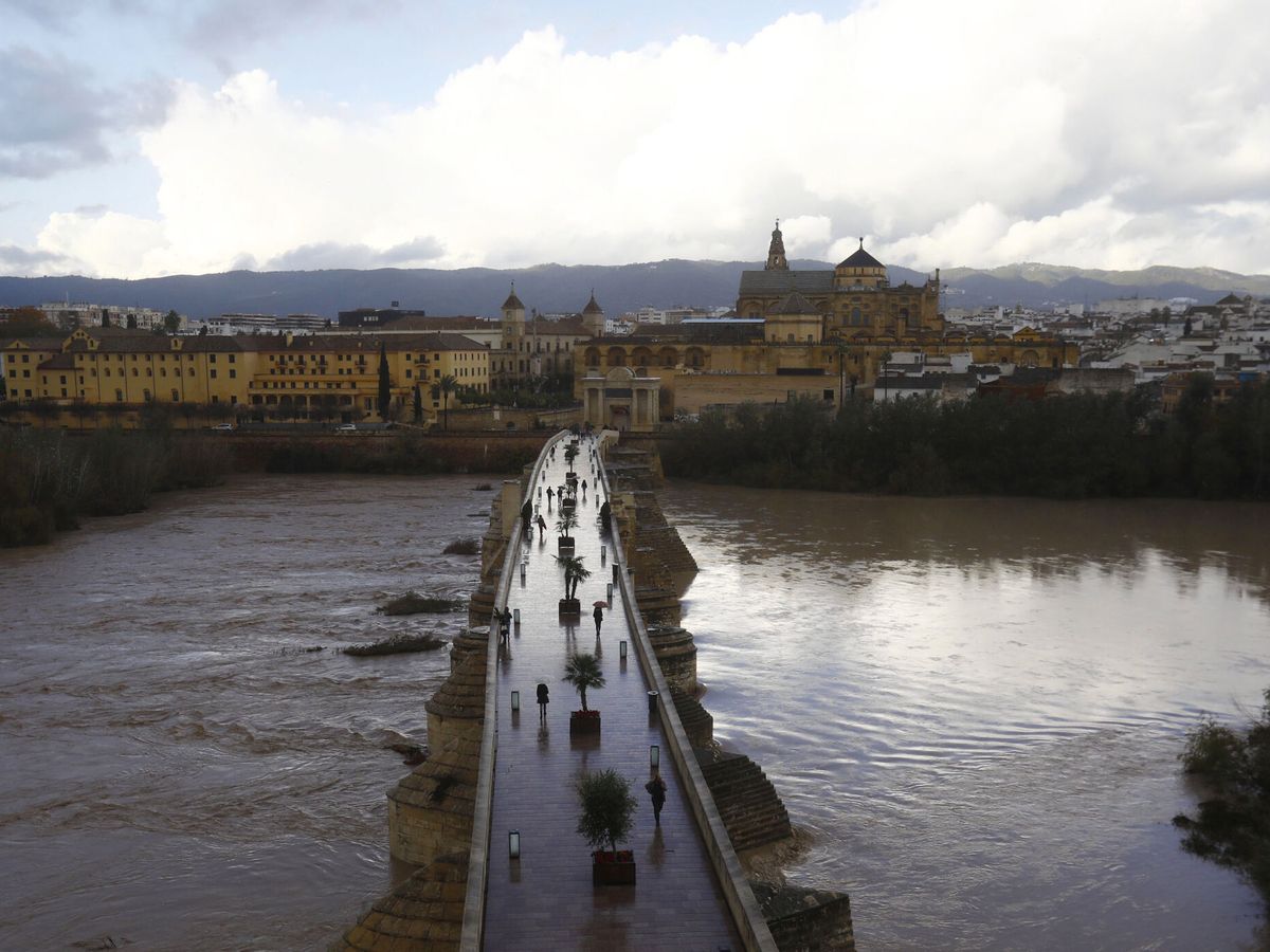 Foto: El río Guadalquivir en una imagen de archivo. (EFE/Salas)
