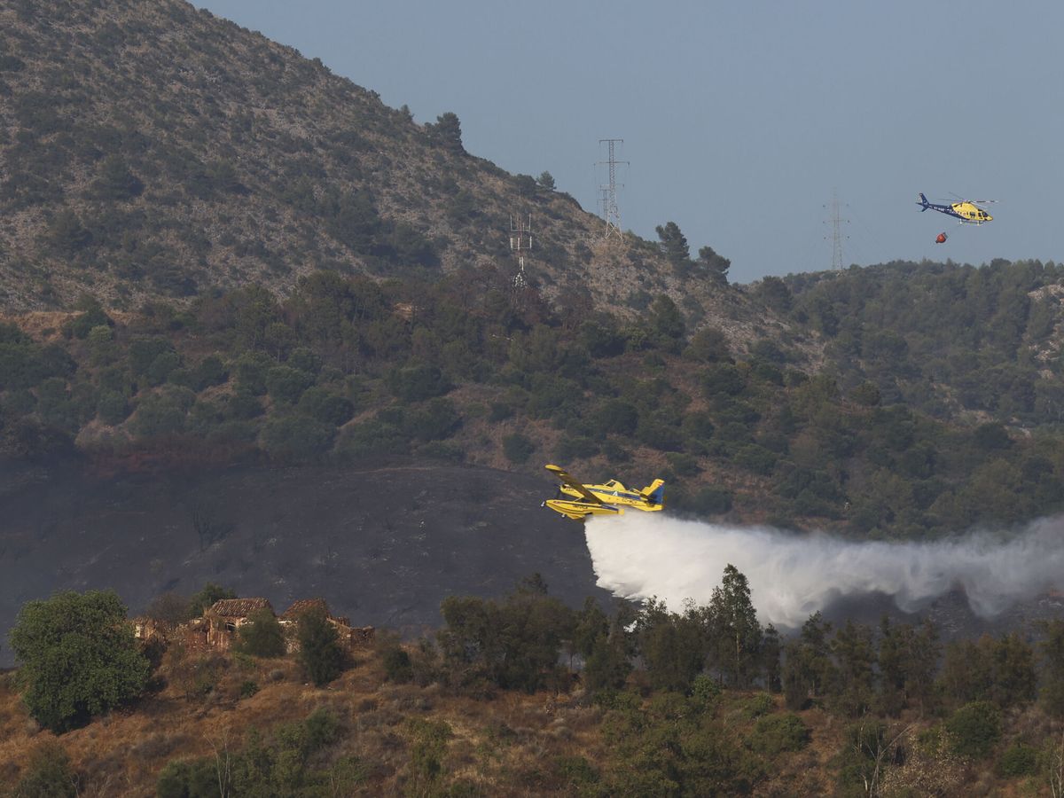 Foto: Foto de archivo de un incendio forestal en Málaga. (EFE/Carlos Díaz)